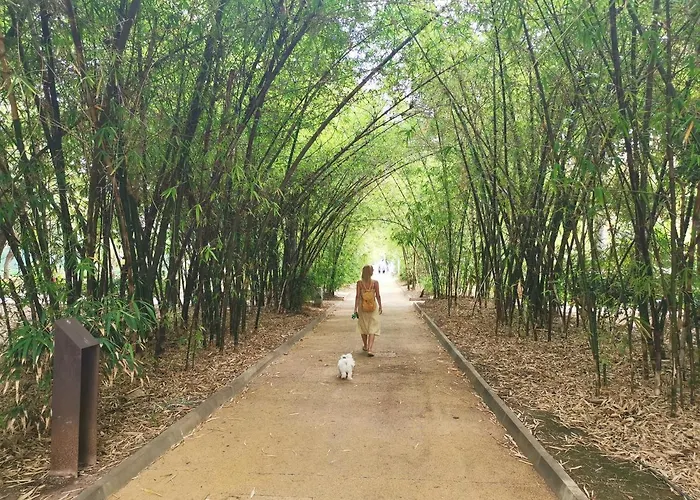 Home2book Le Boutique Санта-Крус-де-Тенерифе