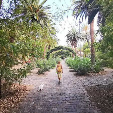 Home2book Le Boutique Lejlighed Santa Cruz de Tenerife