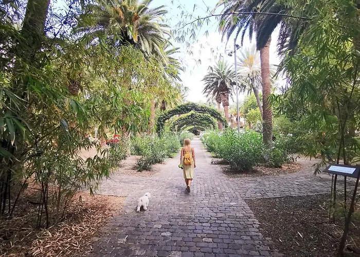 Home2book Le Boutique Daire Santa Cruz de Tenerife