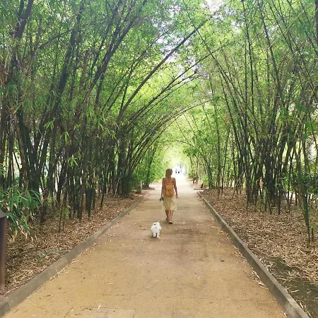 Home2book Le Boutique Santa Cruz de Tenerife